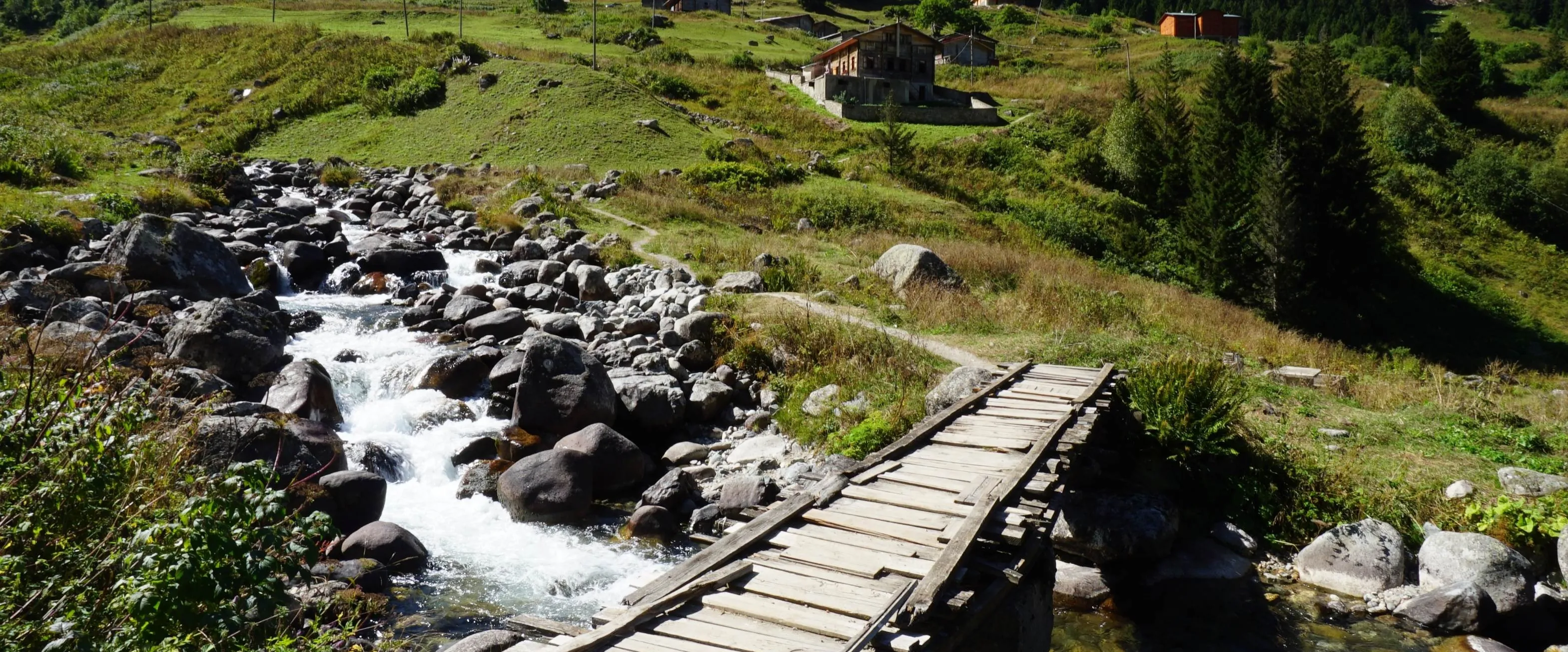 Karadeniz Yaylalarına İlk Defa Gidecekler İçin Rehber