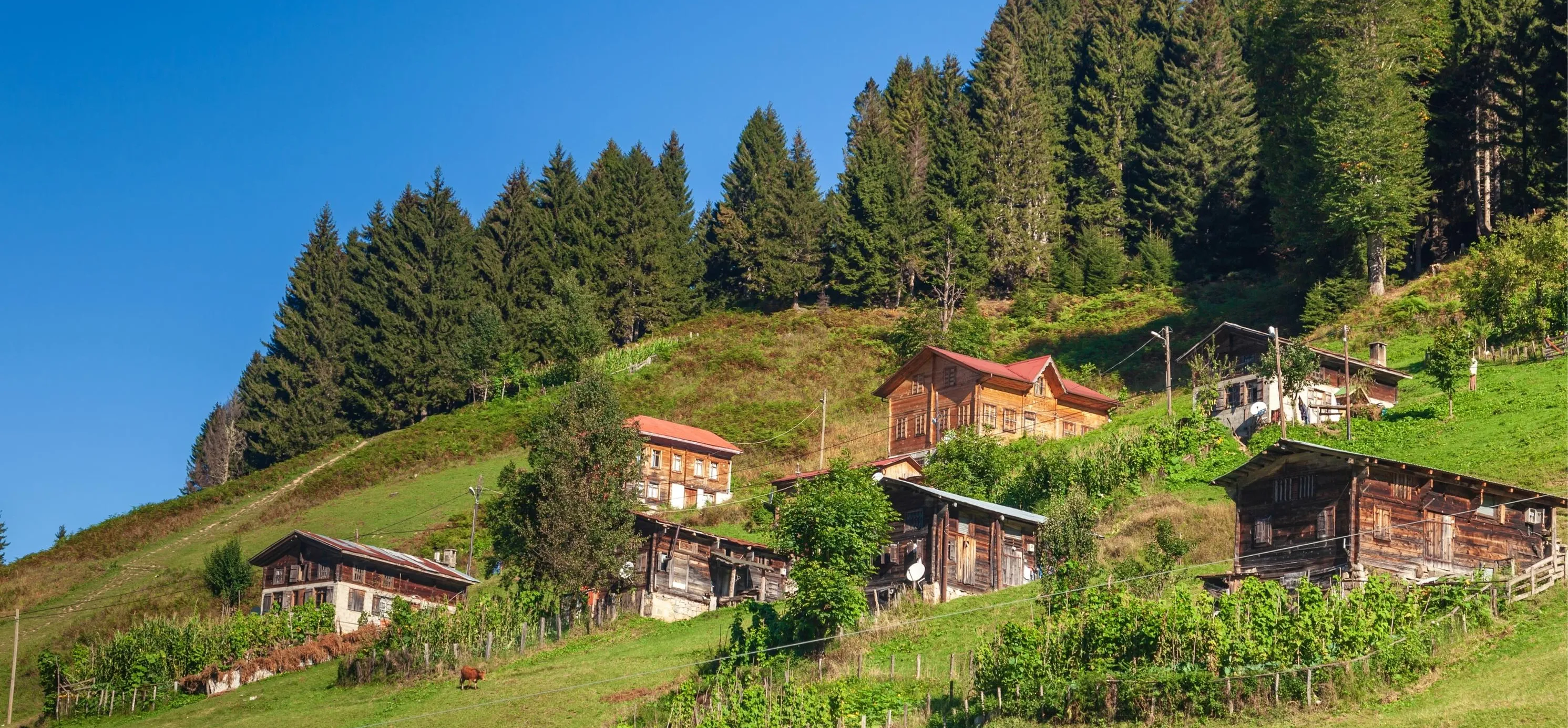 Ayder Yaylası Turu