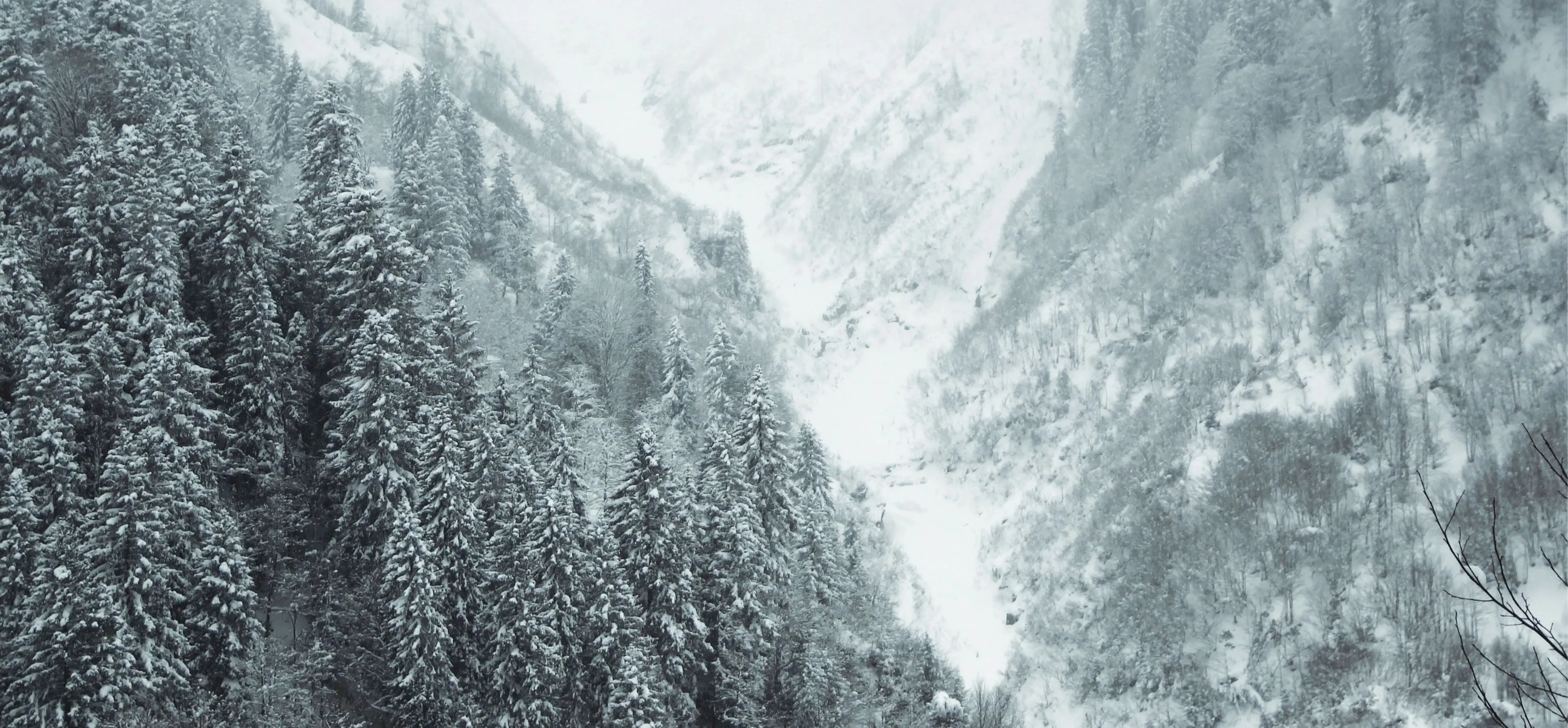 Kardan Adam Festivali