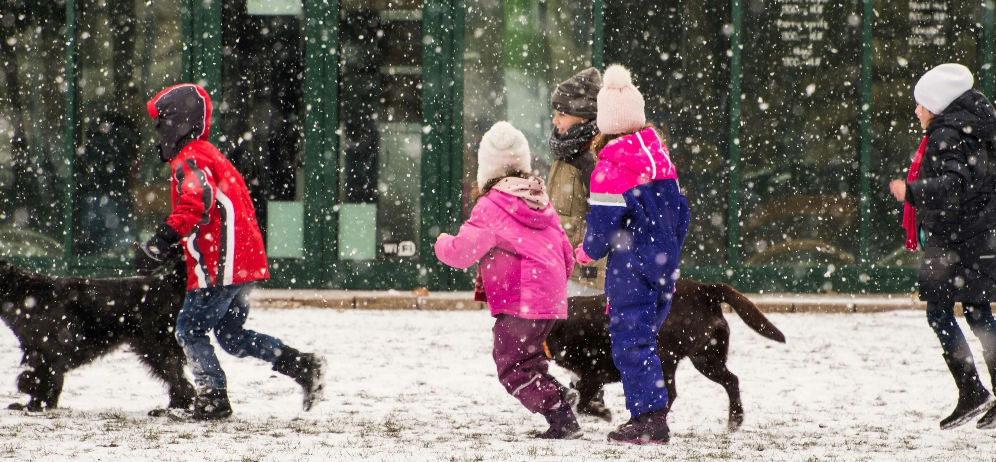 Kardan Adam Festivali