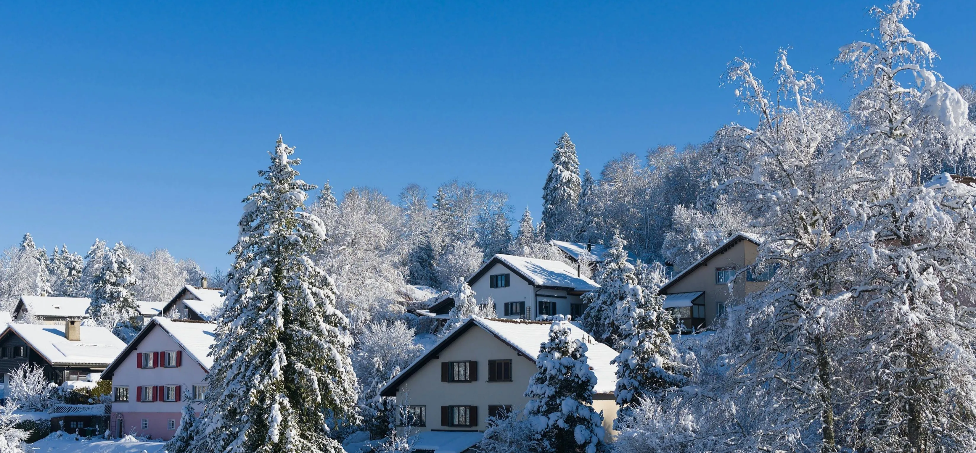 Konaklamalı Kardan Adam Festivali Turu